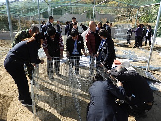 DSCN0685.JPG